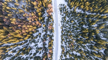 Водещи автобусни билети цени 25 от Tickets Shop Водещи автобусни билети цени 25