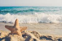 Информация за екскурзии в Молдова 32 от Onlinetravel Информация за екскурзии в Молдова 32