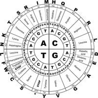 Оферти за азотен бустер 1 от SNC Оферти за азотен бустер 1