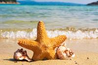 Вижте нашите майски празници 27 от OnlineTravel Вижте нашите майски празници 27