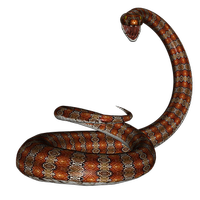 Каталог репелент за змии 23