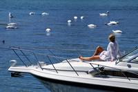 Вижте Costa Cruises 26 - Allcruise Вижте Costa Cruises 26