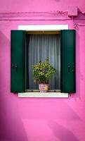 Schau Insektenschutzrollo 1 - rund-ums-fenster.at Schau Insektenschutzrollo 1