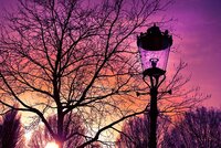 Повече за улично осветление 20 | Elmark Повече за улично осветление 20
