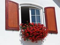 Führer Fensterfolie Sichtschutz 36 - rund-ums-fenster.at Führer Fensterfolie Sichtschutz 36