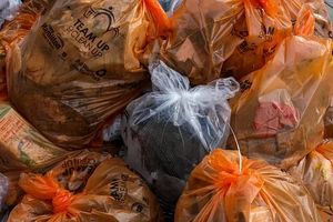 домашна помощница - 67501 разновидности домашна помощница - 1165 разновидности