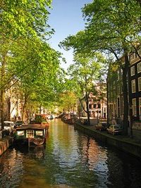 екскурзия до амстердам - 64644 оферти