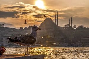 екскурзия до истанбул - 11047 варианти