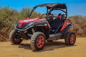 Buggies - 23900 customers | LanzaBuggies Buggies - 35549 customers