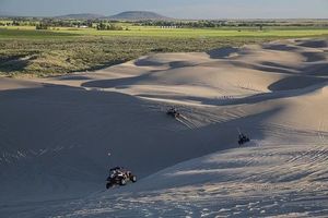 Buggies - 1252 offers Buggies - 83814 offers
