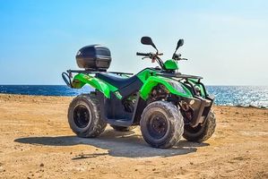 Quad - 83795 bestsellers Quad - 97238 bestsellers