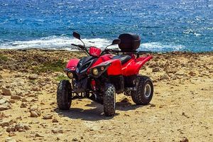 Quad - 36599 opportunities Quad - 9289 opportunities