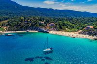 Best Tavern In Mount Athos - 79645 species Best Tavern In Mount Athos - 39653 species