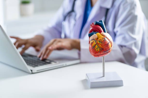 кардиолог софия - 3820 цени | medicabilis.eu кардиолог софия - 96898 цени
